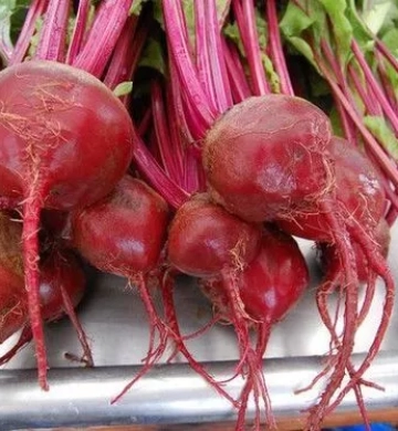Dark Red Beet Seeds- NON GMO