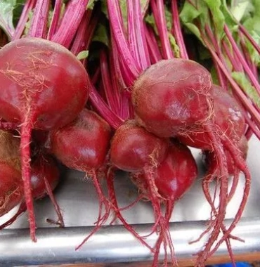 Dark Red Beet Seeds- NON GMO
