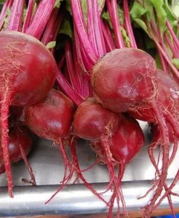 Dark Red Beet Seeds- NON GMO